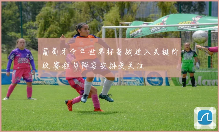 葡萄牙今年世界杯备战进入关键阶段 赛程与阵容安排受关注