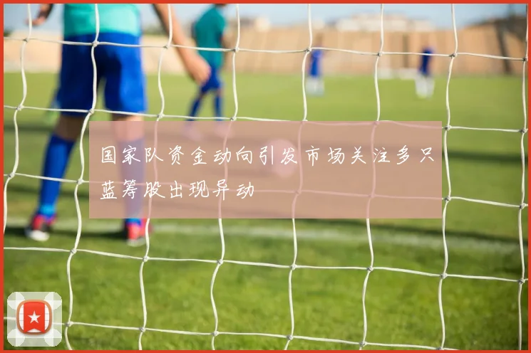 国家队资金动向引发市场关注多只蓝筹股出现异动