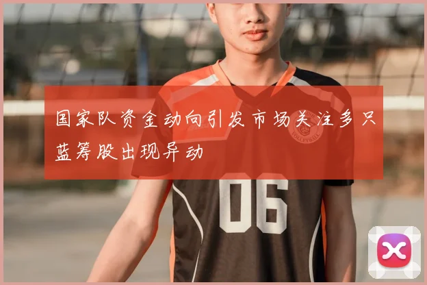 国家队资金动向引发市场关注多只蓝筹股出现异动